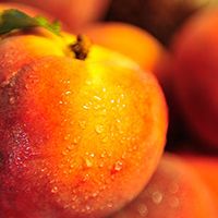Parker County Peaches