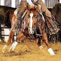 Cutting Horse Capital
