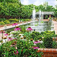 Clark Gardens